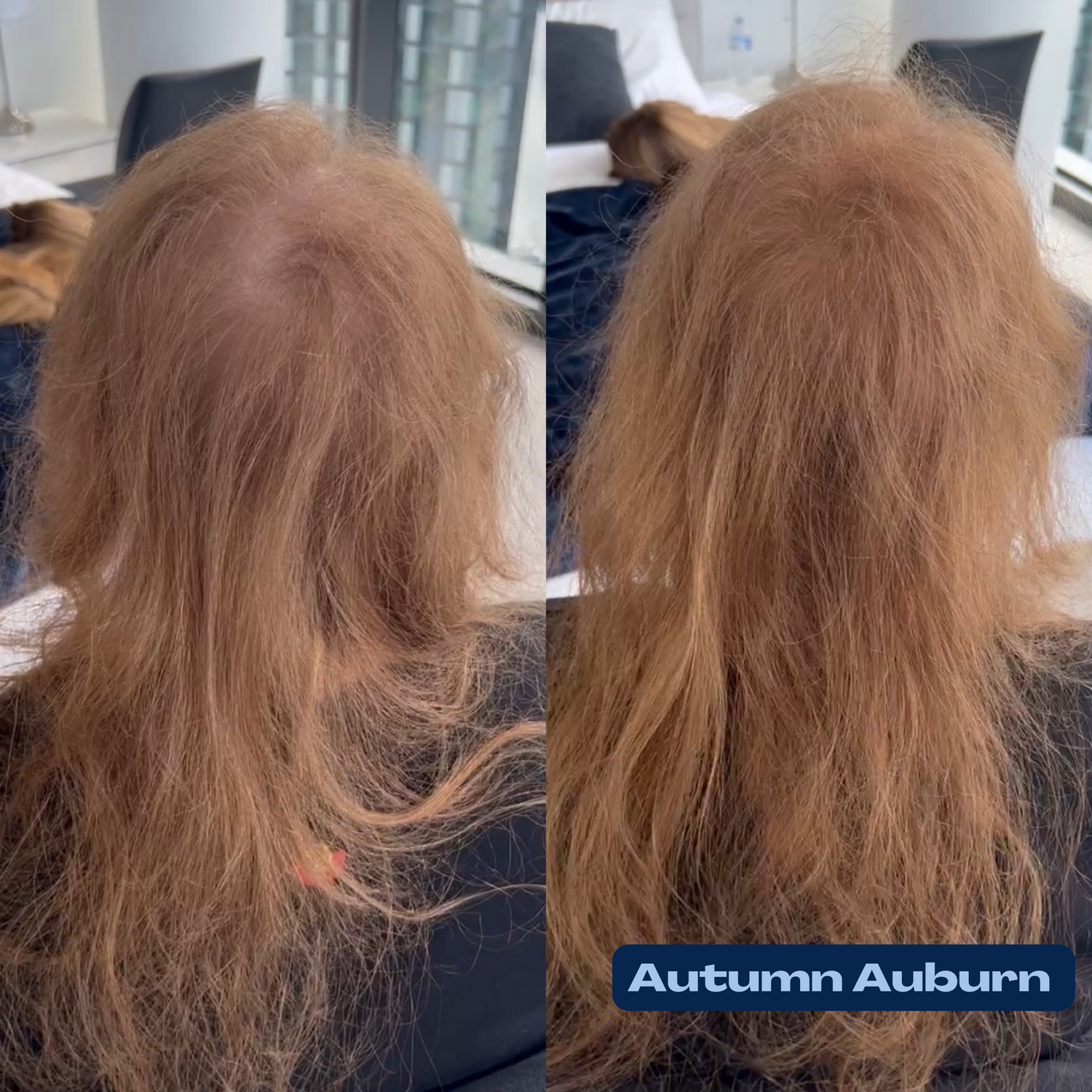 Autumn Auburn Fibers