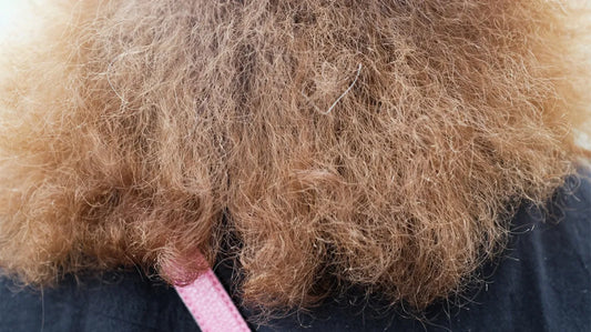 How to Combat Frizzy Hair